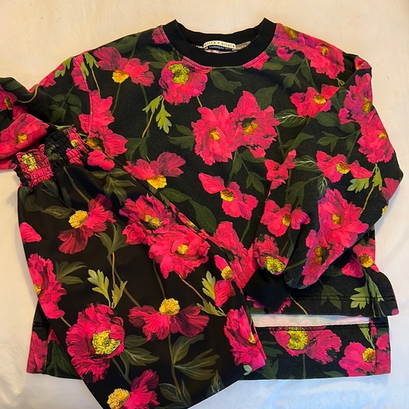 Alice + Olivia Gaia Blouson sweatshirt and jogger pants! XS/S - Picture 1 of 6
